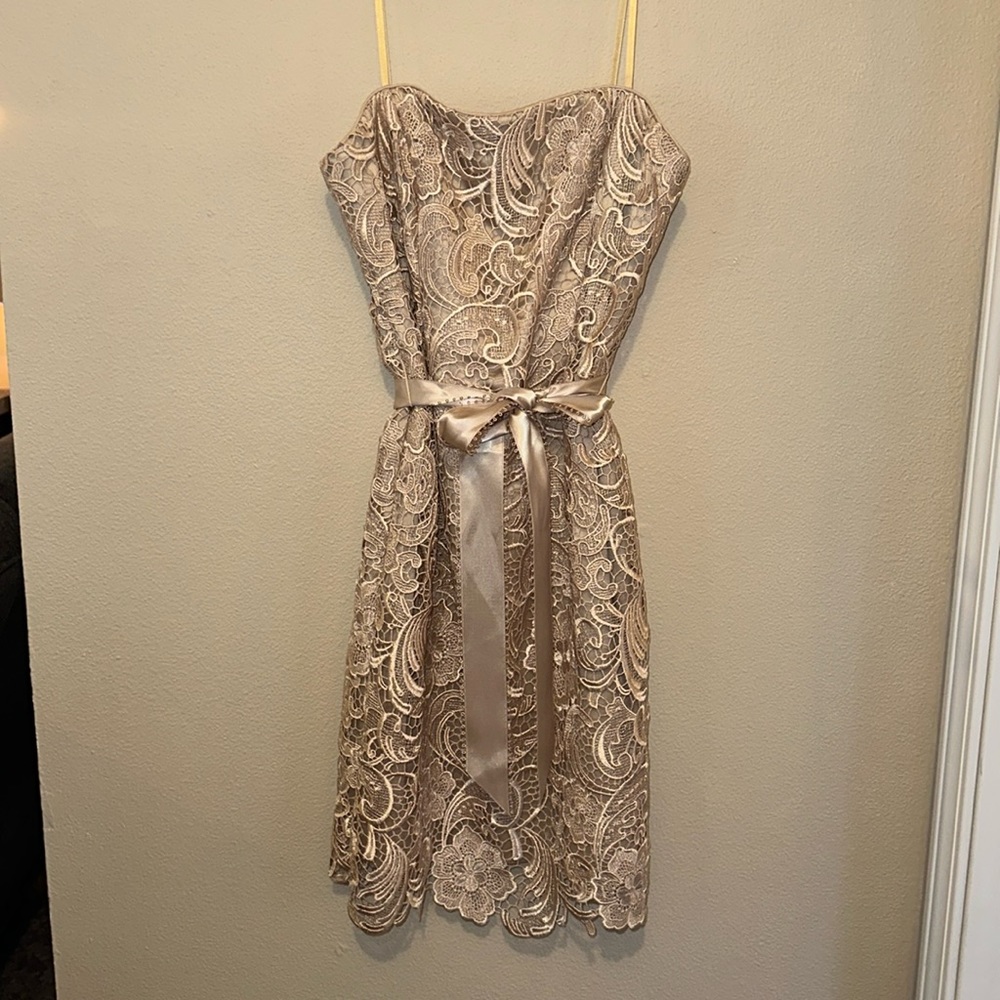 Adrianna Papell silky, lace dress size 6